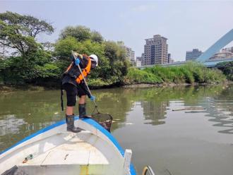 北市曝魚群暴斃真相 竟是「氣候惹的禍」