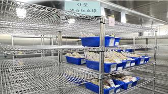 丹娜絲攪局！南部醫療用血告急 這2型血最缺