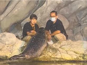 海生館海豹夏綠蒂爆紅 與美女飼養員逗趣互動狂吸25萬讚