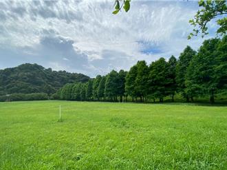 基隆邀企業植樹 補植原生種打造城市綠肺