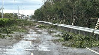 嘉義數百電桿倒塌斷電 2千養殖戶求救：魚群缺氧恐滅池