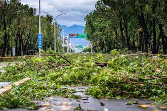 丹娜絲重創嘉義市！12萬戶停電 台電搶修拚今晚全數復電