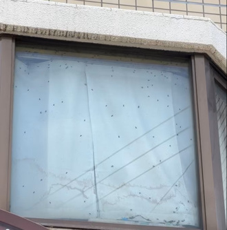 「窗戶爬滿蒼蠅」驚覺不對勁報警　旅日韓僑揭孤獨死慘案