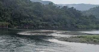 搜尋新店落水男意外翻船　1義消、2消防員命危急救中