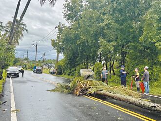 樹倒＋停電害呼吸器中止 釀2死