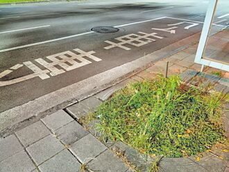 北市公車站樹穴 變行人地雷