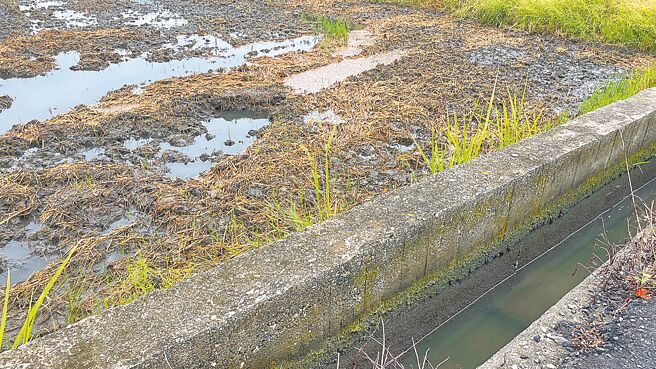 丹娜絲颱風期間降下豪雨，台東縣境內多條河川水位暴漲，沖毀部分水圳入水口導水土堤，使水圳呈現低水位，農民憂心影響二期稻作插秧期程。（民眾提供／蕭嘉蕙台東傳真）