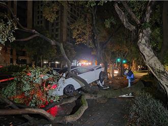 北市信義區死亡車禍！運將下車休息被賓士撞死 駕駛逃逸