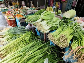 丹娜絲颱風釀近16億農損 北部批發菜價反跌11％