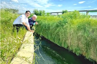 告別淹水惡夢！桃園蘆竹排水系統升級 不畏颱風強勁雨勢