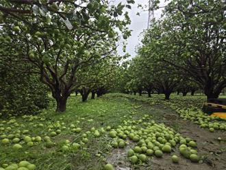 丹娜絲重創中南部　政院：刪預算「影響災損補助應變能力」