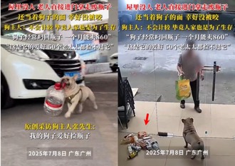 巴哥犬愛撿瓶子賺伙食費　竟遭回收老太太「入室搶劫」