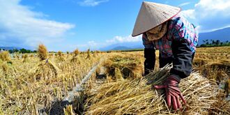 連賢明：農業議題恐是卡關關鍵