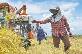 學者：台美談判極度保密 恐準備讓步