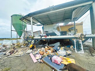 嘉縣 電還不來 2千養殖戶憂魚死光