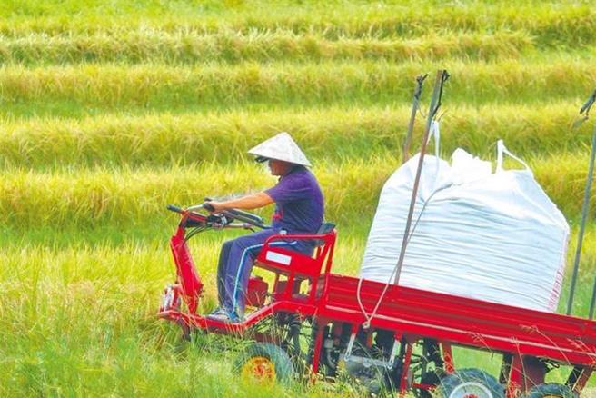 為迅速復原丹娜絲導致的嚴重農業災損，農業部持續辦理現場並啟動救助機制，在昨日宣布嘉義縣市及台南市啟動「農業天然災害現金救助及低利貸款」後，今（9）日再度公告南投、雲林、高雄納入範圍，盼及早協助農民復耕復建。（本報系資料照）