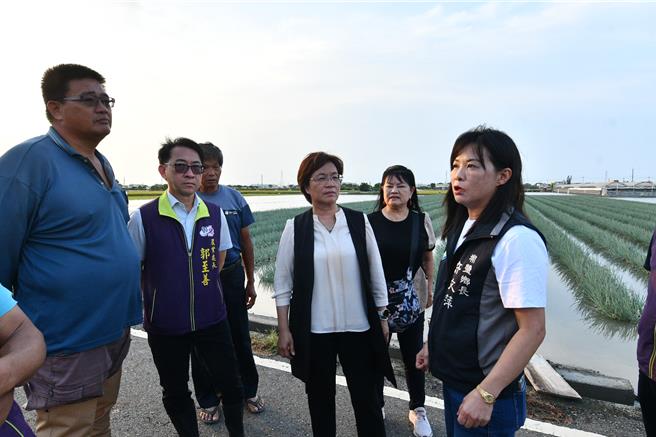 彰化縣長王惠美（右二）等人現勘蔬菜受損情形。（彰化縣政府提供／葉靜美彰化傳真）