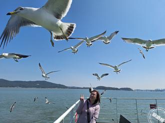 仁川海島新玩法，永宗島啟程  海上被群「鷗」到「三兄弟島」解鎖「趣」！