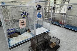 1959動物保護專線啟用4年 救援案件顯著成長