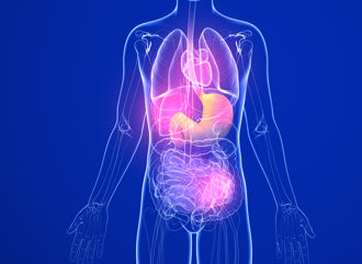 老了就會慢性發炎？新研究：工業化的環境才是關鍵