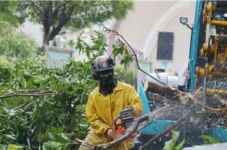 救災優先！嘉義縣、市宣布停辦城鎮韌性演習