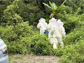 基隆7旬嬤採筍遭蜂螫失蹤　消防隊緊急搜索！她卻返家休息