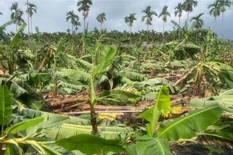 雲嘉南豪雨災害甚過颱風  放寬農漁民低利貨款條件