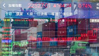 政策護盤 台積成避風首選