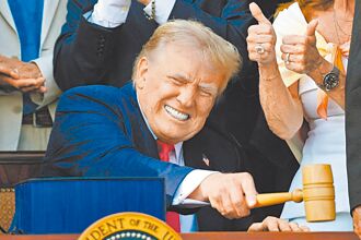 填補大而美錢坑 台灣有牌嗎