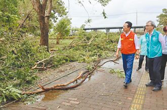 嘉縣115校受創 教長促提報重建