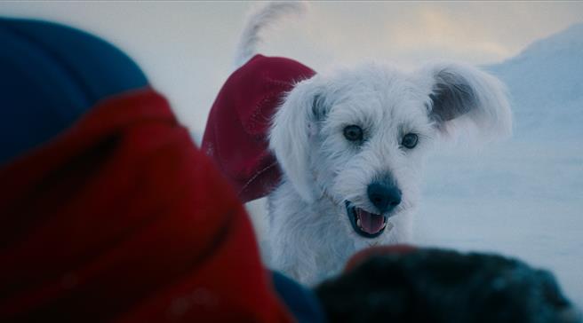 「超狗」氪普托也是電影一大看點。（華納兄弟提供）