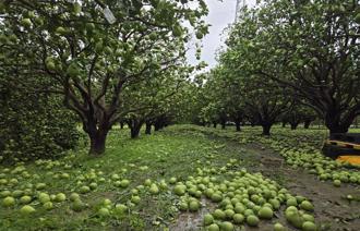 高屏仍有豪雨機率 丹娜絲釀23億農損 仍有4.7萬戶停電