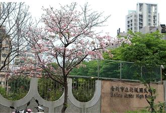 北投国中传食物中毒 17名学生「嘴唇痒麻」集体送医 