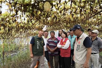 屏東農損飆破8000萬 周春米跑4鄉勘災爭取「農業資材補助」