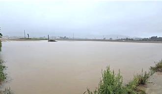 金門暴雨淹沒近500公頃農田 契作高粱泡湯損失慘重