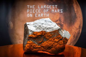 地球最大块「火星陨石」将拍卖！漂洋过海2.25亿公里　估价上看1.3亿台币