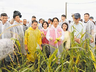 總統雲林勘災 張麗善促全品項救助