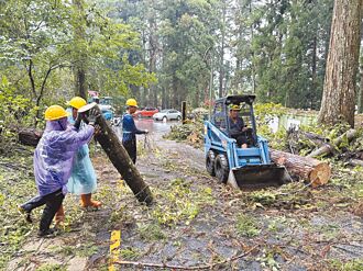 溪頭今開園 3區域暫時封閉