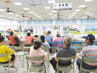 云林 农损逾3亿 各公所爆申报救助人潮