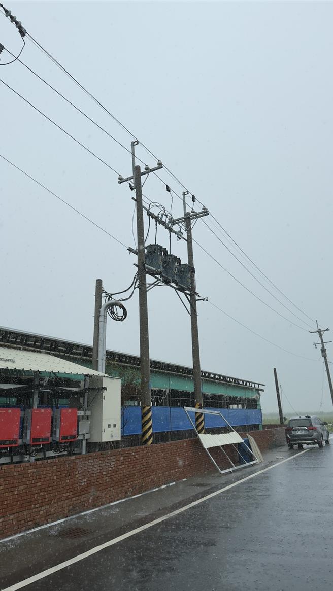 勘查人員進場前確認總電源關閉，不料又漏電電死豬隻，疑似路邊高壓電肇禍。（林志達提供／廖素慧嘉縣傳真）