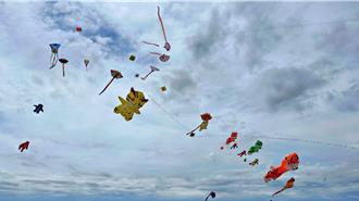 宜蘭冬山鄉變身動物樂園！風箏節熱鬧開幕 超萌水豚領飛