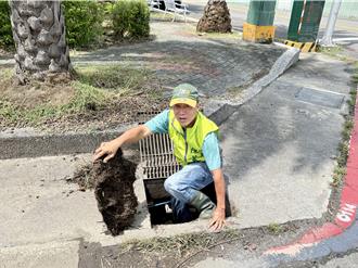 高雄神农停车场旁水沟堵塞元凶现形 棕榈树根缠绕线路惹祸