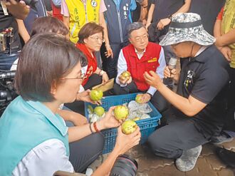 王惠美促修農災氣候參數 穩定菜價