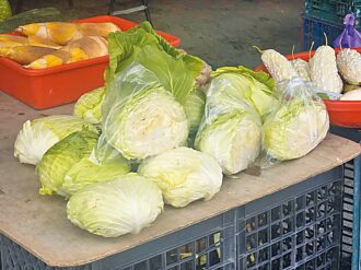 蘭嶼 高麗菜半顆200 議員促穩物價