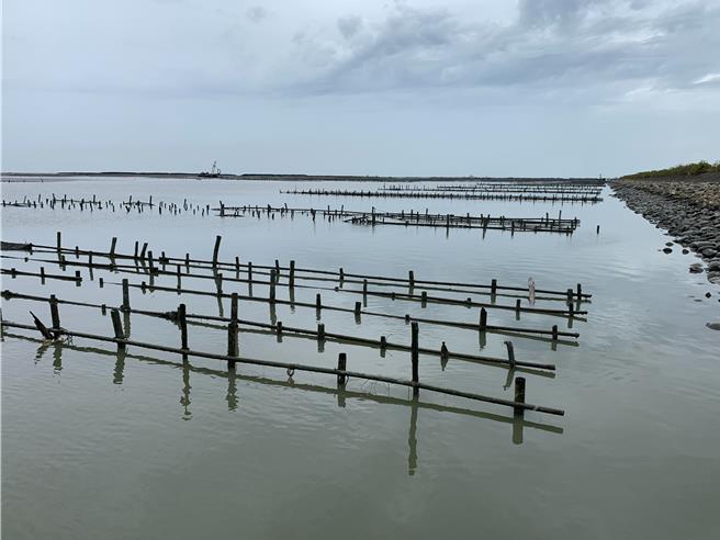 丹娜絲颱的強風巨浪將台南沿海地區的養殖牡蠣掃光，令蚵架全空。（郭良傑攝）