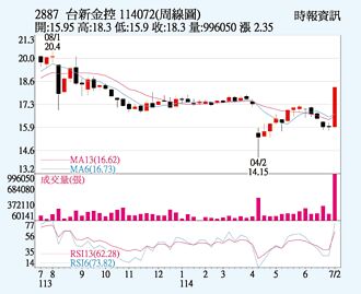 台新金 雙資爆量買超