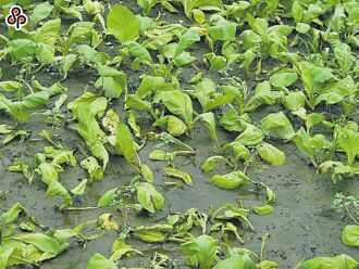 關切台灣風災 石破茂發文慰問