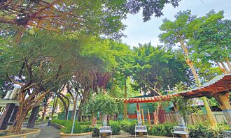 颱風防災 北市公園恐成三不管地帶