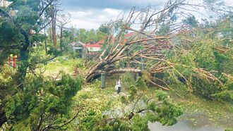 里长泪诉 学甲秀昌里停电6天终迎灯火