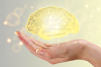 降失智風險35％ 研究：騎腳踏車強化大腦功能